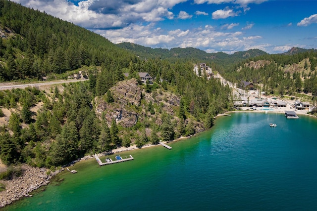 100 Deep Bay Dr, Lakeside, MT 59922 - aerial view of property's location featuring a forest and a water and mountain view