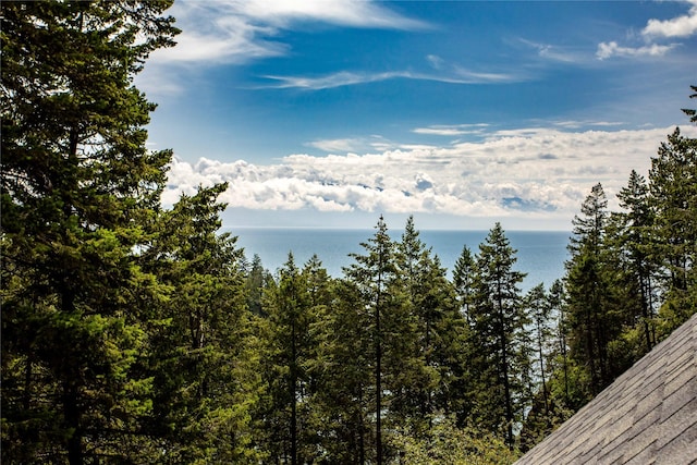 100 Deep Bay Dr, Lakeside, MT 59922 - water view