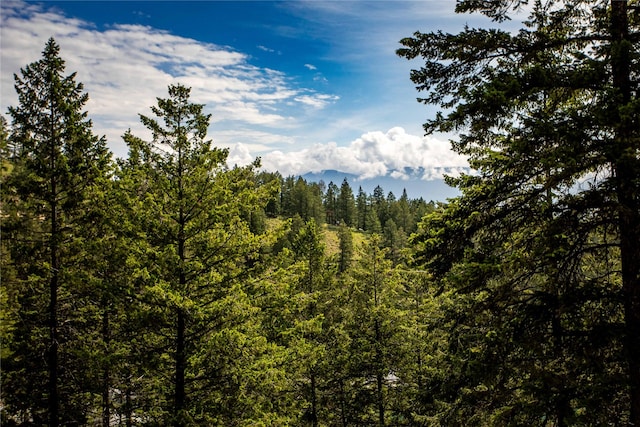 100 Deep Bay Dr, Lakeside, MT 59922 - view of tree filled area