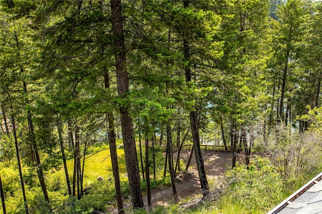 100 Deep Bay Dr, Lakeside, MT 59922 - view of woods