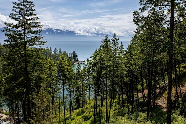 100 Deep Bay Dr, Lakeside, MT 59922 - water view
