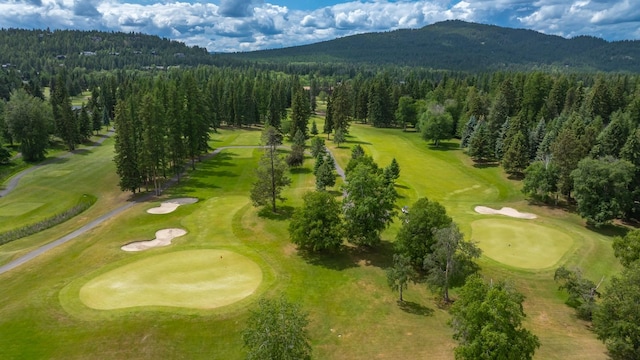 441/443 Karrow Ave, Whitefish, MT 59937 - bird's eye view of a mountain backdrop and a forest