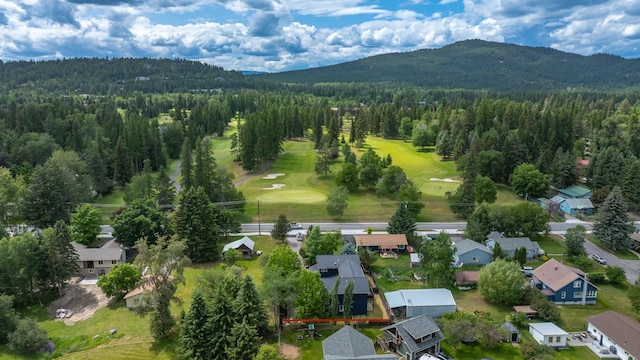 441/443 Karrow Ave, Whitefish, MT 59937 - aerial perspective of suburban area with a mountain backdrop and a forest