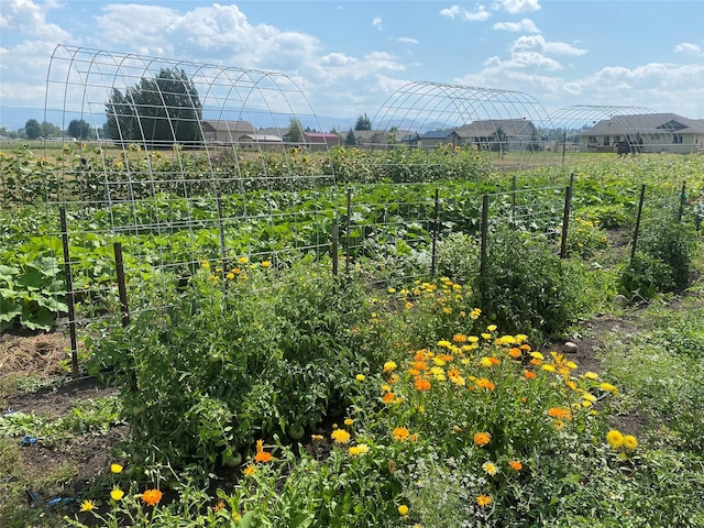 5014 Eastside Hwy, Stevensville, MT 59870 - view of yard featuring a garden