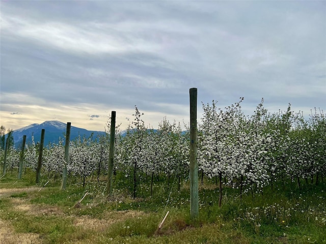5014 Eastside Hwy, Stevensville, MT 59870 - view of mountain backdrop