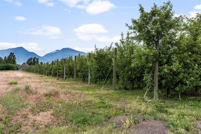 5014 Eastside Hwy, Stevensville, MT 59870 - view of mountain background