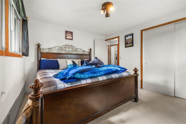 305 S Dell Dr, Havre, MT 59501 - bedroom featuring light carpet and a closet