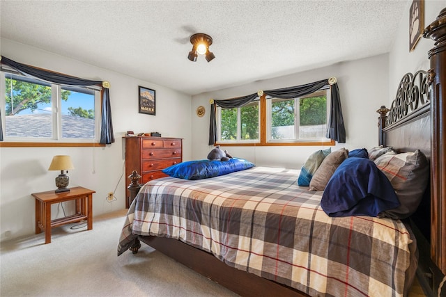 305 S Dell Dr, Havre, MT 59501 - bedroom with carpet floors and a textured ceiling