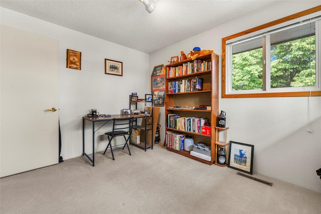 305 S Dell Dr, Havre, MT 59501 - office space featuring carpet and a textured ceiling