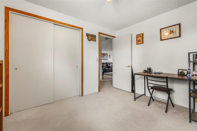 305 S Dell Dr, Havre, MT 59501 - office space with light carpet and a textured ceiling