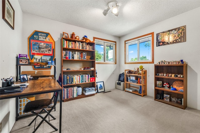305 S Dell Dr, Havre, MT 59501 - carpeted office featuring a textured ceiling