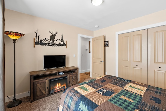 9 Blue Stem Way, Three Forks, MT 59752 - bedroom with a closet and carpet flooring