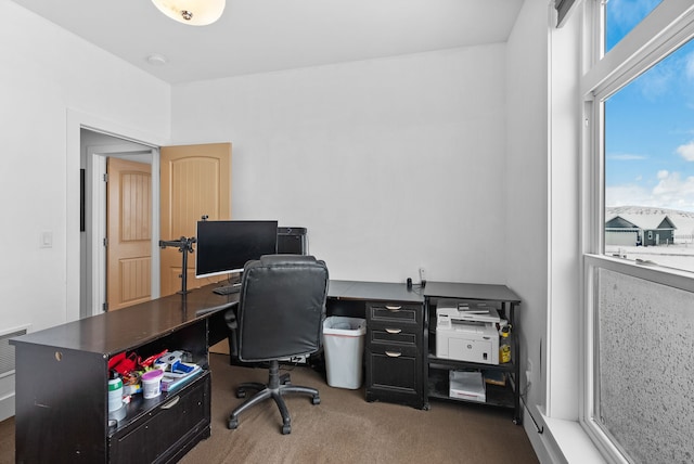 9 Blue Stem Way, Three Forks, MT 59752 - home office featuring carpet flooring
