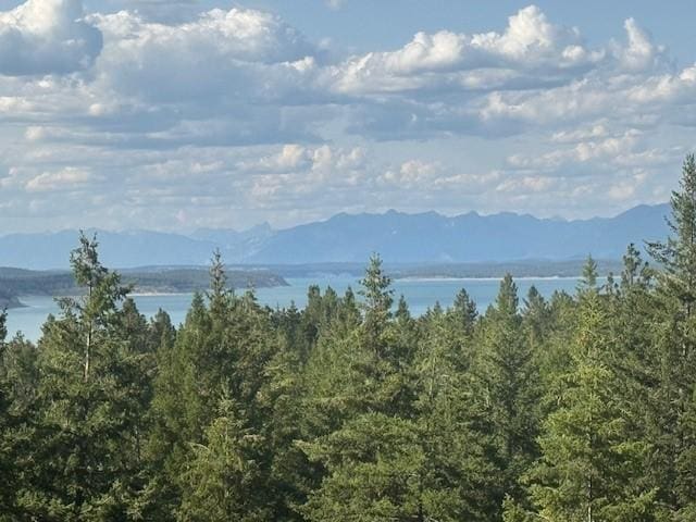NHN Lodge Rd, Rexford, MT 59930