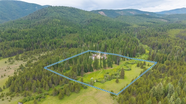 6611 Packer Creek Rd, Haugan, MT 59842 - view of property location featuring a heavily wooded area and property parcel outlined
