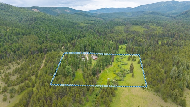 6611 Packer Creek Rd, Haugan, MT 59842 - view of property location with property boundaries highlighted
