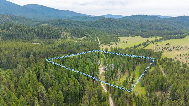 6611 Packer Creek Rd, Haugan, MT 59842 - view of property location featuring a mountainous background and property parcel outlined