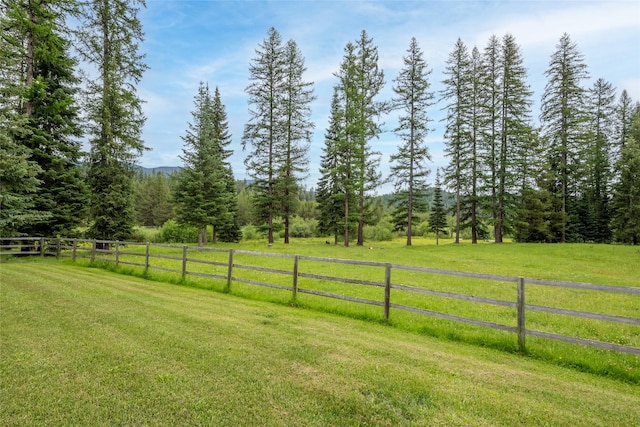 6611 Packer Creek Rd, Haugan, MT 59842 - view of yard with a rural view and a wooded view