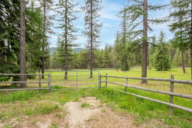 6611 Packer Creek Rd, Haugan, MT 59842 - view of yard featuring a view of trees, a gate, and a view of rural / pastoral area