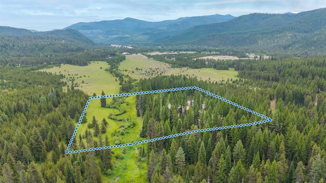 6611 Packer Creek Rd, Haugan, MT 59842 - aerial view of property and surrounding area featuring property parcel outlined and a mountain backdrop
