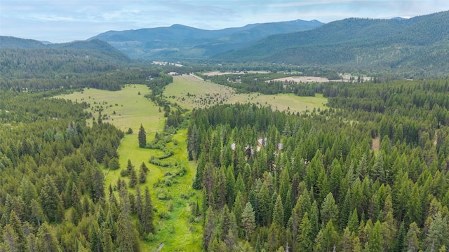 6611 Packer Creek Rd, Haugan, MT 59842 - mountain view featuring a heavily wooded area