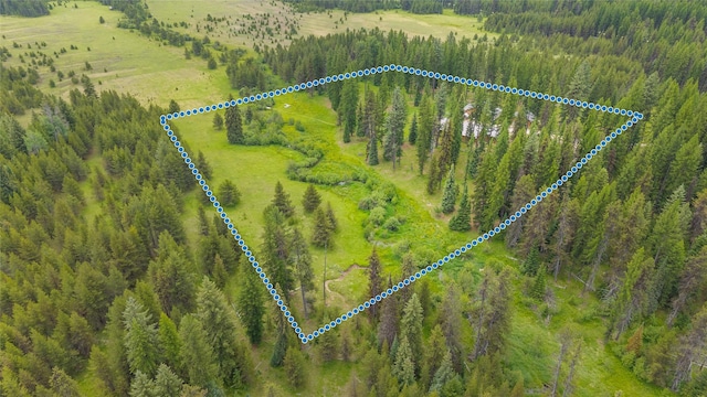 6611 Packer Creek Rd, Haugan, MT 59842 - aerial view of property's location with property parcel outlined and a forest