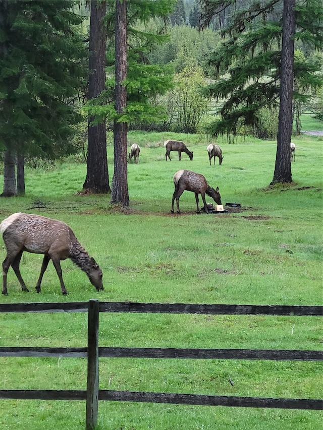 6611 Packer Creek Rd, Haugan, MT 59842 - view of property's community with a view of rural / pastoral area