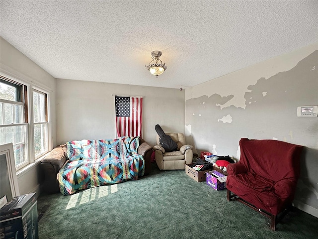 214 2nd Ave SW, Cut Bank, MT 59427 - carpeted living room with a textured ceiling