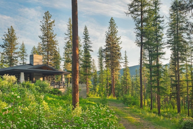 6601 Russian Joe Rd, Missoula, MT 59802 - view of yard featuring a view of trees