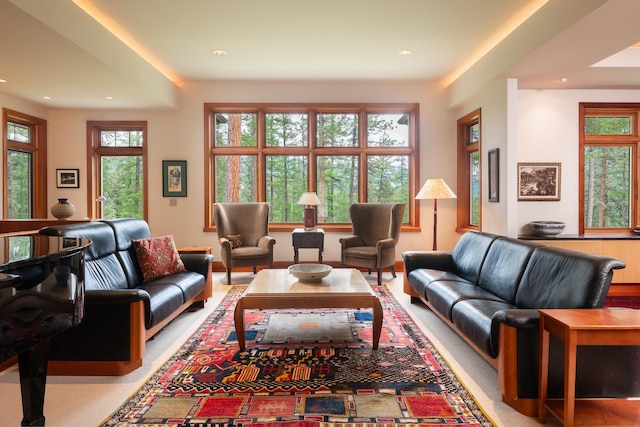 6601 Russian Joe Rd, Missoula, MT 59802 - living area featuring recessed lighting