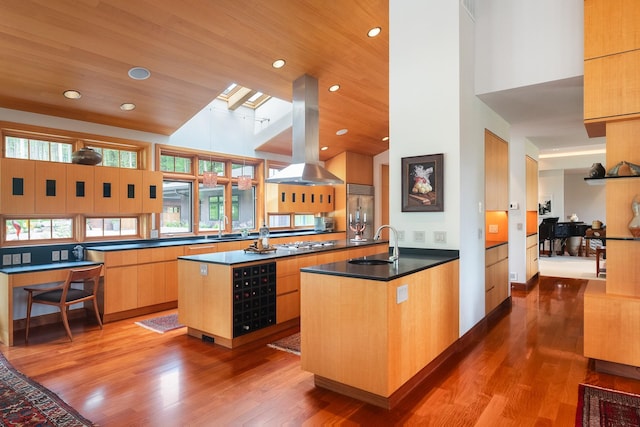 6601 Russian Joe Rd, Missoula, MT 59802 - kitchen with stainless steel appliances, island exhaust hood, wood finished floors, a towering ceiling, and modern cabinets
