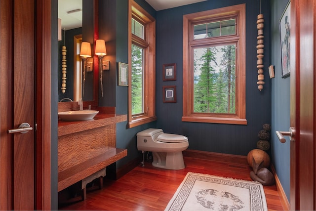6601 Russian Joe Rd, Missoula, MT 59802 - bathroom with wood finished floors and vanity