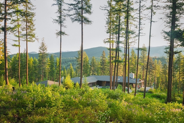6601 Russian Joe Rd, Missoula, MT 59802 - view of mountain background featuring a heavily wooded area