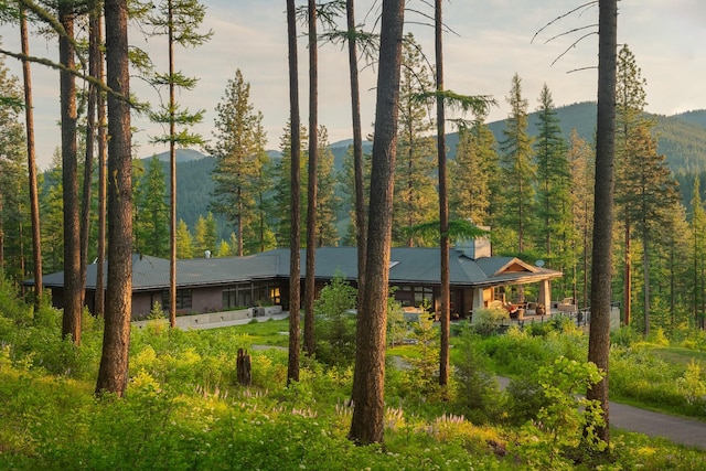6601 Russian Joe Rd, Missoula, MT 59802 - mountain view featuring a heavily wooded area
