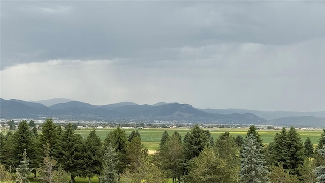 4270 Fox Den Dr, Helena, MT 59602