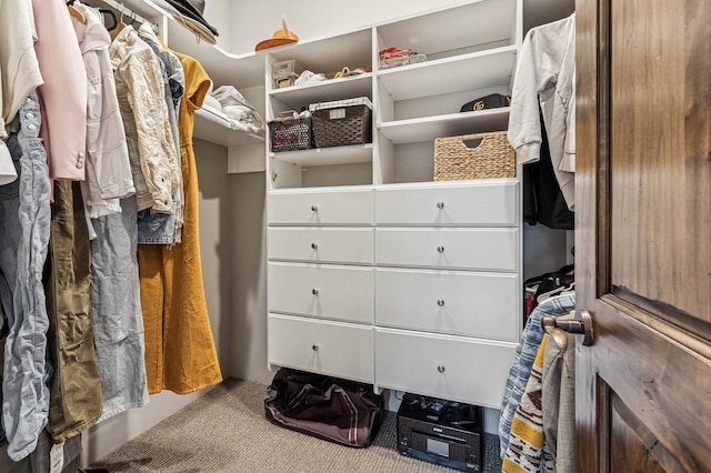 153 Slopeside Dr Unit 14, Whitefish, MT 59937 - walk in closet with carpet floors