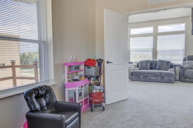 5610 Hauser Damn Rd, Helena, MT 59602 - rec room with carpet flooring and healthy amount of natural light