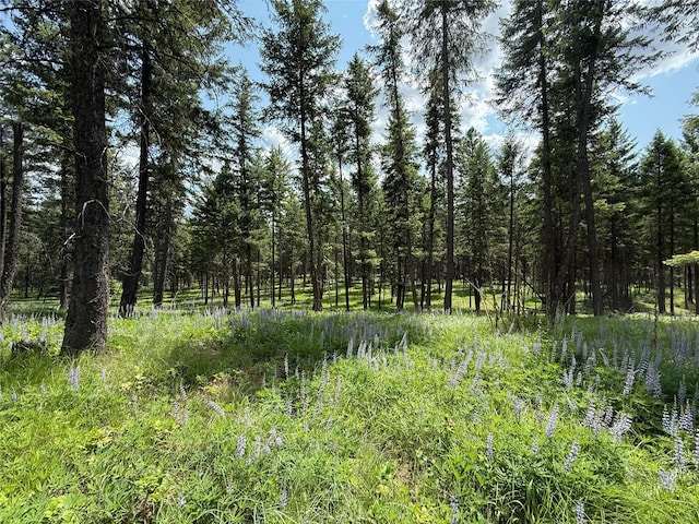 NHN Kootenai Dr, Troy, MT 59935