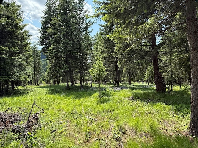 NHN Kootenai Dr, Troy, MT 59935