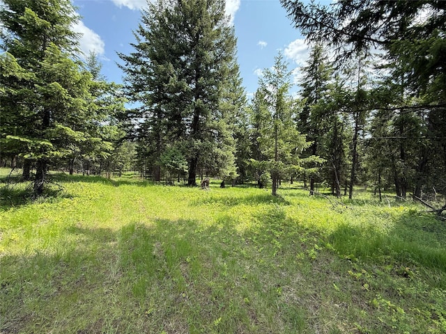 NHN Kootenai Dr, Troy, MT 59935