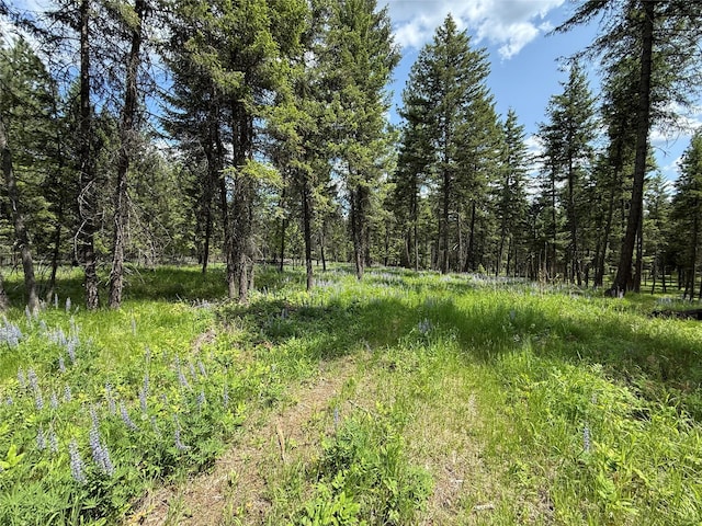 NHN Kootenai Dr, Troy, MT 59935
