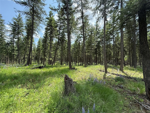 NHN Kootenai Dr, Troy, MT 59935