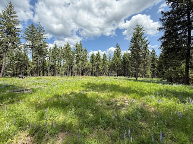 NHN Kootenai Dr, Troy, MT 59935