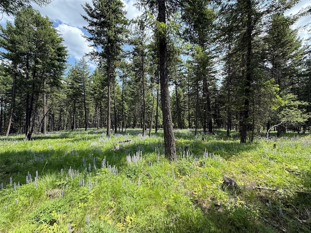 NHN Kootenai Dr, Troy, MT 59935