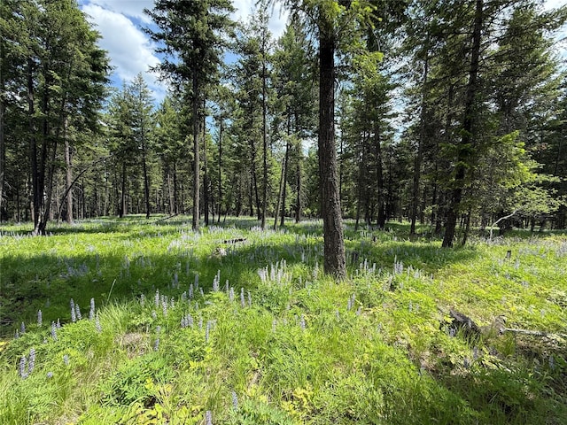 NHN Kootenai Dr, Troy, MT 59935