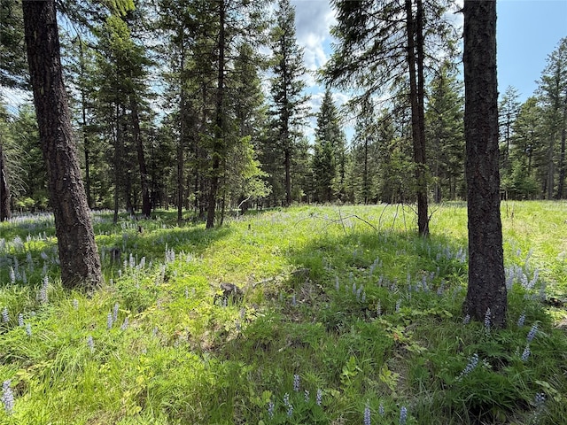 NHN Kootenai Dr, Troy, MT 59935