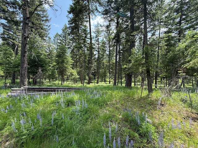 NHN Kootenai Dr, Troy, MT 59935