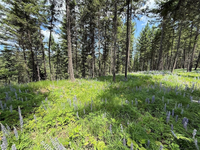 NHN Kootenai Dr, Troy, MT 59935