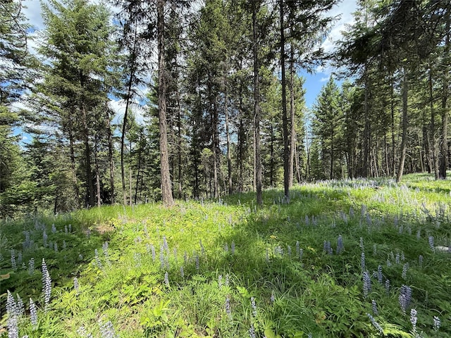NHN Kootenai Dr, Troy, MT 59935