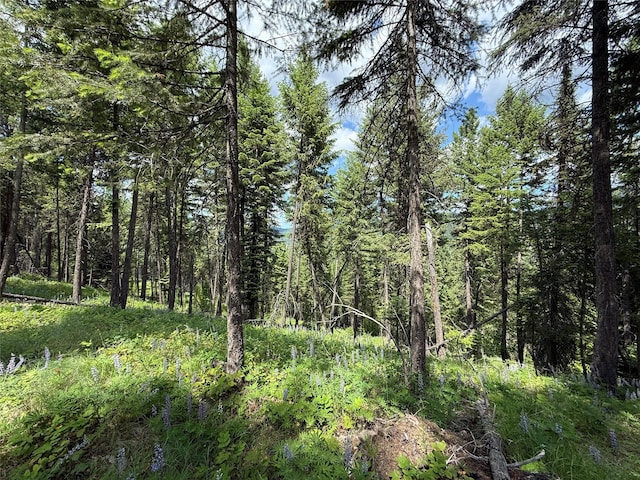 NHN Kootenai Dr, Troy, MT 59935
